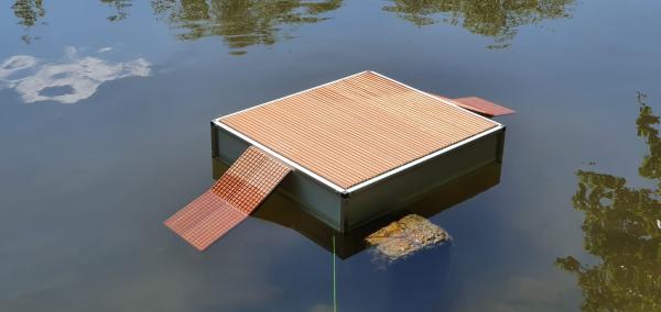 AS-Teichschildkrötenschwimminsel Roland